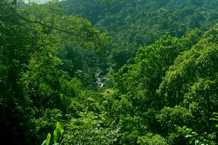 Natalie, 22 — Escort in Cerro Azul, Panama