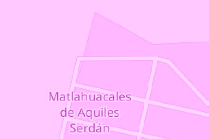Natalie, 22 — Escort in Matlahuacales Aquiles Serdan, Mexico