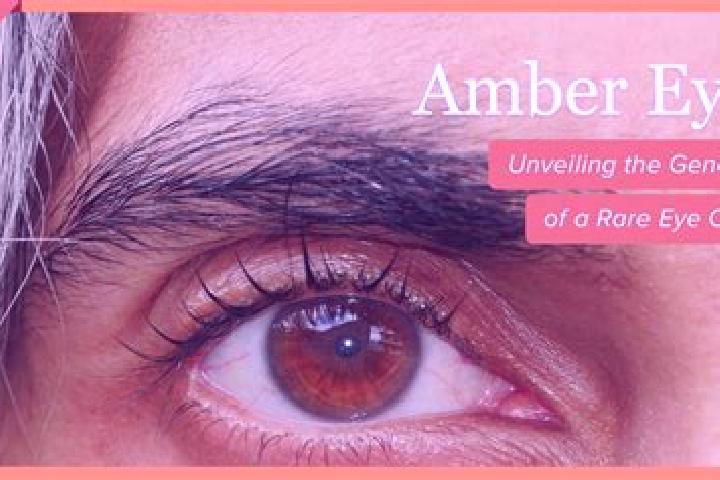 Natalie, 23, a red amber-eyed middle eastern companion based in Overlea. Offering Massage, BDSM, A-Level, Domination. Available for incall and outcall, overn...