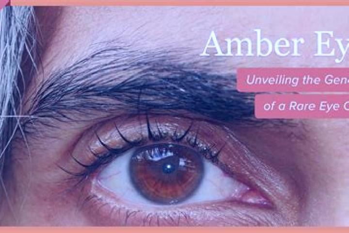 Natalie, 25, a black amber-eyed mixed companion based in Timisesti. Offering Duos, BDSM, Domination, Travel Companion, Dinner Date. Available for incall and ...