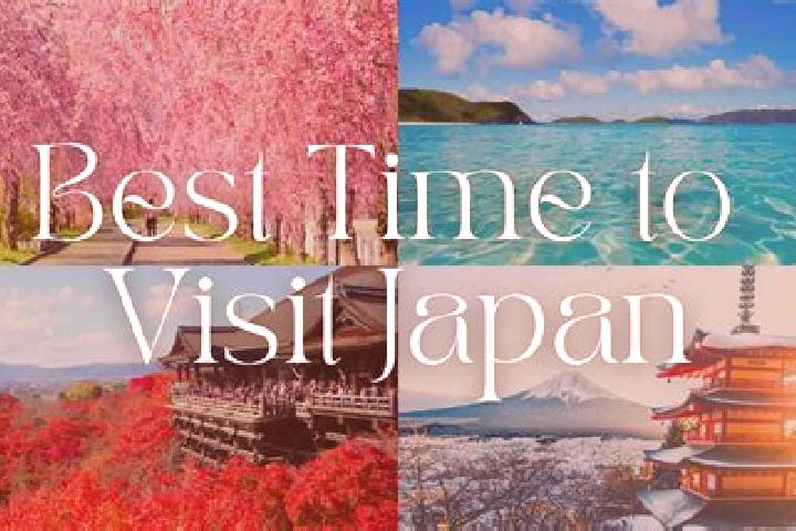 Natalie, 27 — Escort in Nagadomi, Japan