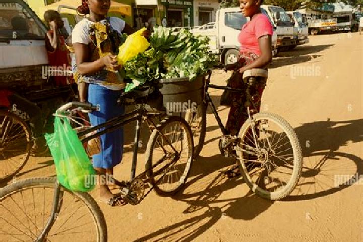Natalie, 28 — Escort in Mpongwe, Zambia