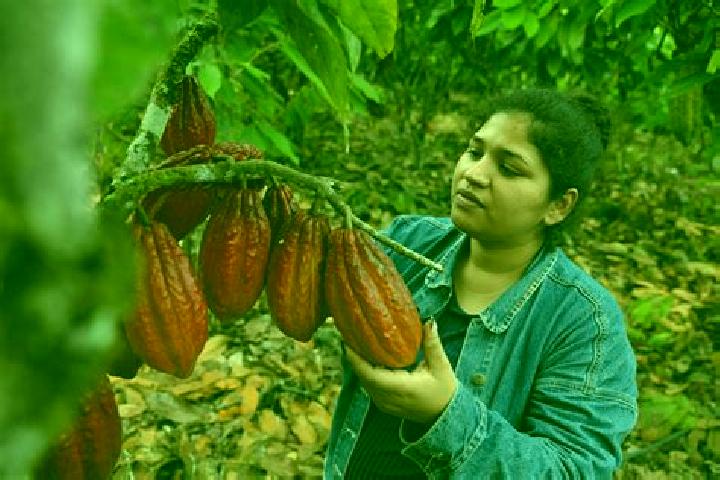 Natalie, 29 — Escort in Cacao, Mexico