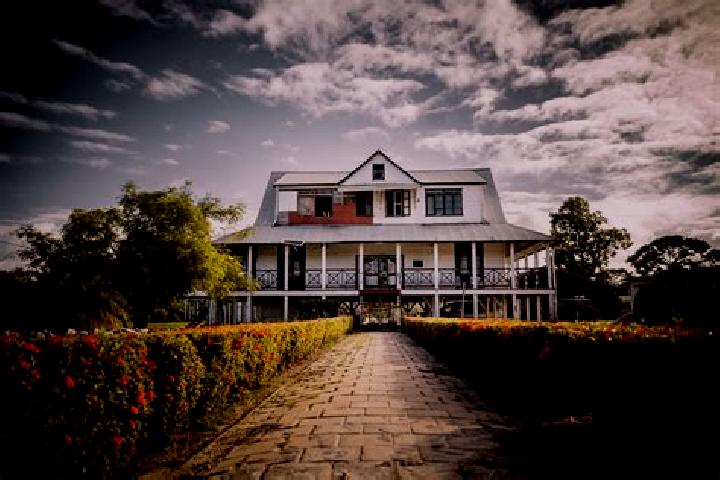 Natalie, 30 — Escort in Totness, Suriname
