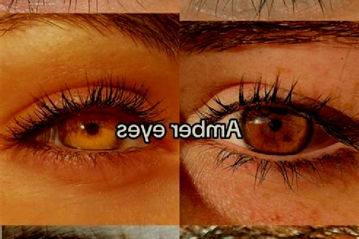Natalie, 31, a chestnut amber-eyed indian companion based in Pori. Offering Prostate Massage, GFE, OWO, Party Girl. Available for incall and outcall, overnig...