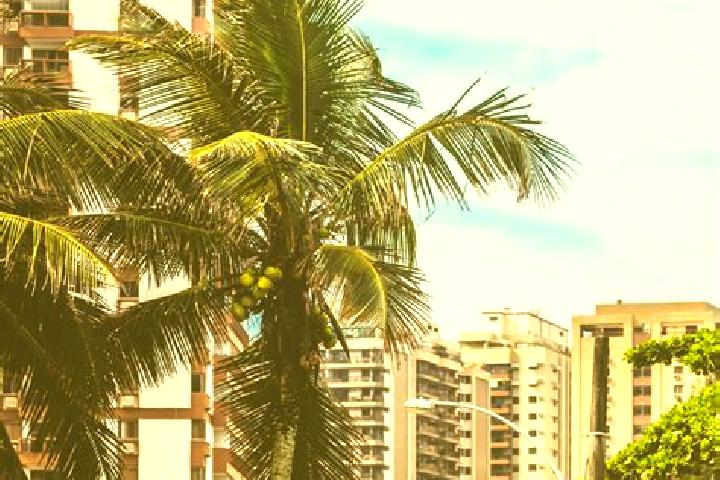 Natalie, 35 — Escort in Vista Alegre do Prata, Brazil
