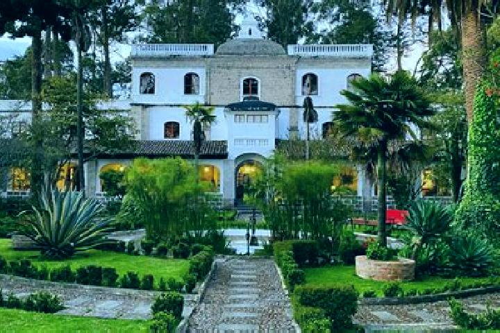 Natalie, 36 — Escort in Francisco Primo de Verdad (Cienega de Mata), Mexico