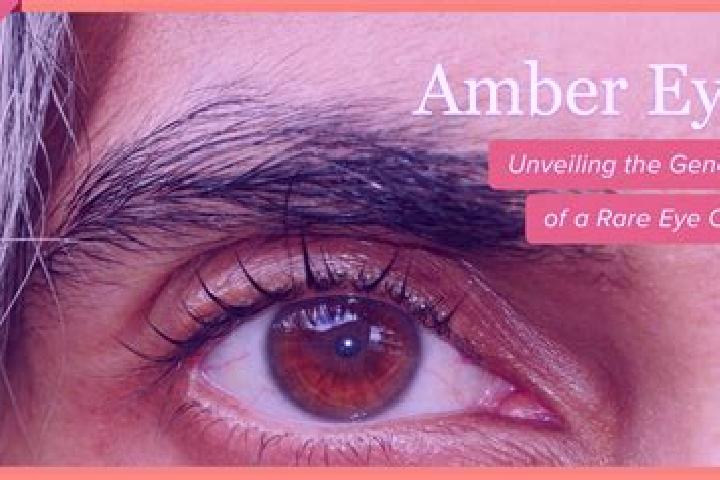 Natalie, 37, a black amber-eyed caribbean companion based in Bogazici. Offering 69, A-Level, OWO. Available for incall and outcall, day and evening dates.