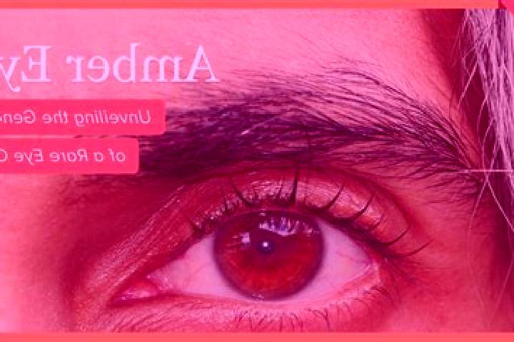 Natalie, 37, a red amber-eyed slavic companion based in Maarke-Kerkem. Offering GFE, Prostate Massage, Domination, Party Girl, CIM. Available for incall and ...