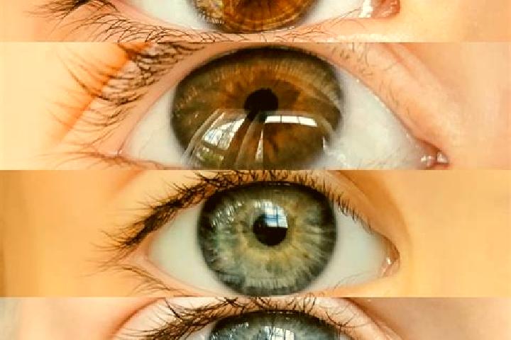 Natalie, 39, a chestnut dark-eyed mixed companion based in Philomath. Offering Girlfriend Experience, Domination, Massage, Duos. Available for incall and out...