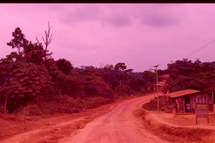 Natalie, 39 — Escort in Bakoumba, Gabon
