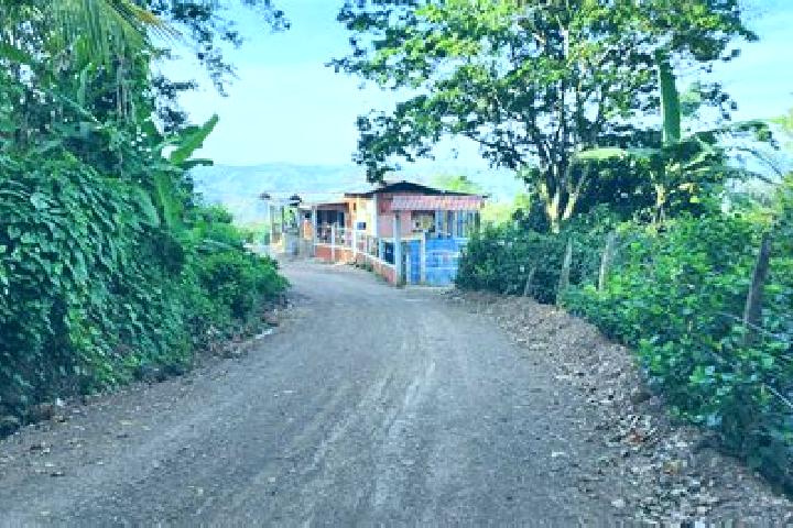 Natalie, 39 — Escort in Wiwili, Nicaragua