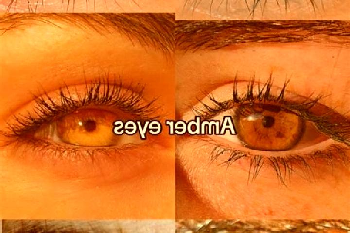 Nora, 20, a chestnut amber-eyed middle eastern companion based in Conegliano. Offering Roleplay, Tantra, BDSM, Domination. Available for incall and outcall, ...