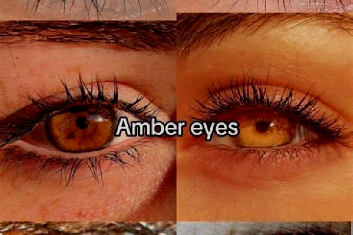 Nora, 22, a brunette amber-eyed caucasian companion based in Racinovci. Offering Domination, Massage, Girlfriend Experience, Overnight. Available for incall ...