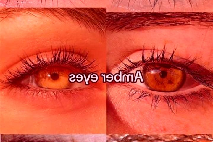 Nora, 24, a chestnut amber-eyed slavic companion based in Vaso. Offering 69, Duos, BDSM. Available for incall and outcall, overnight bookings available.