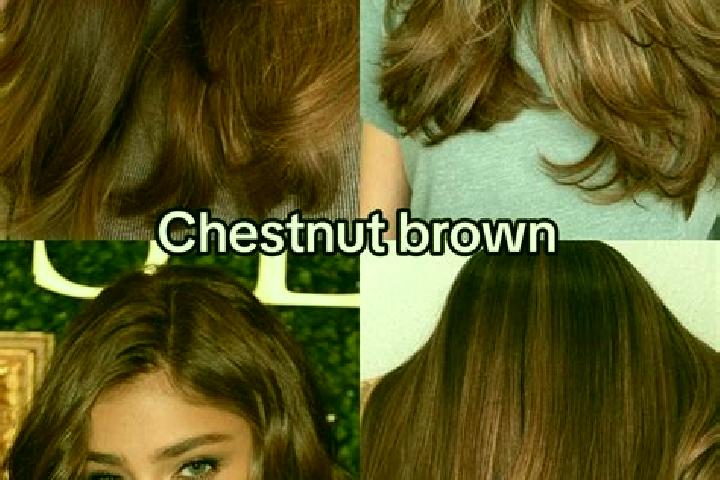 Nora, 24, a chestnut brown-eyed asian companion based in Chotila. Offering Overnight, Massage, Roleplay. Available for incall and outcall, day and evening da...