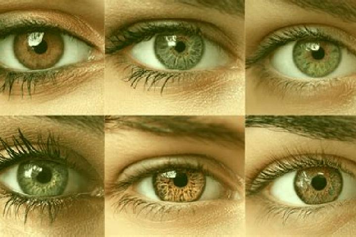 Nora, 26, a black hazel-eyed ebony companion based in Kaisariani. Offering Roleplay, Erotic Massage, Tantra, Party Girl. Available for incall and outcall, da...