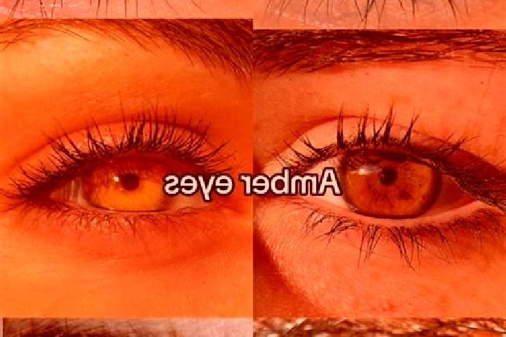 Nora, 26, a brunette amber-eyed mixed companion based in Thoen. Offering Deep French Kissing, Duos, Girlfriend Experience. Available for incall and outcall, ...