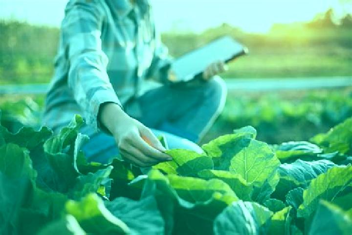 Nora, 26 — Escort in Ingeniero Agronomo Alfredo Mones Quintela, Uruguay