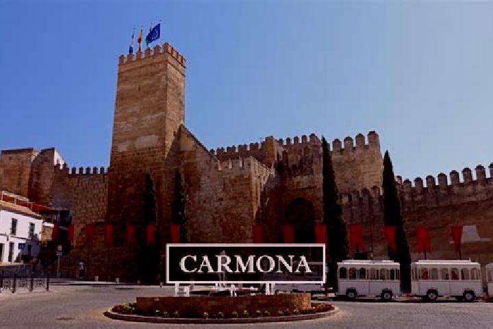 Nora, 26 — Escort in Loma de los Carmona, Mexico