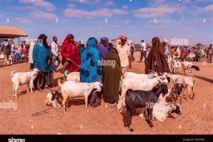 Nora, 27 — Escort in Burao, Somalia