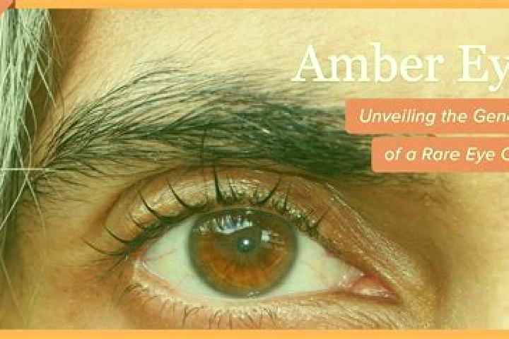Nora, 28, a red amber-eyed mediterranean companion based in Piedra Larga. Offering Overnight, Girlfriend Experience, A-Level, Deep French Kissing, Roleplay. ...