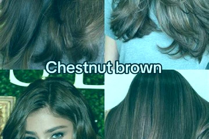 Nora, 29, a chestnut dark-eyed indian companion based in San Vitaliano. Offering CIM, Overnight, Duos, OWO. Available for incall and outcall, day and evening...