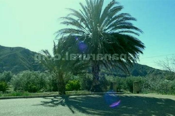 Nora, 29 — Escort in Armuna, Spain