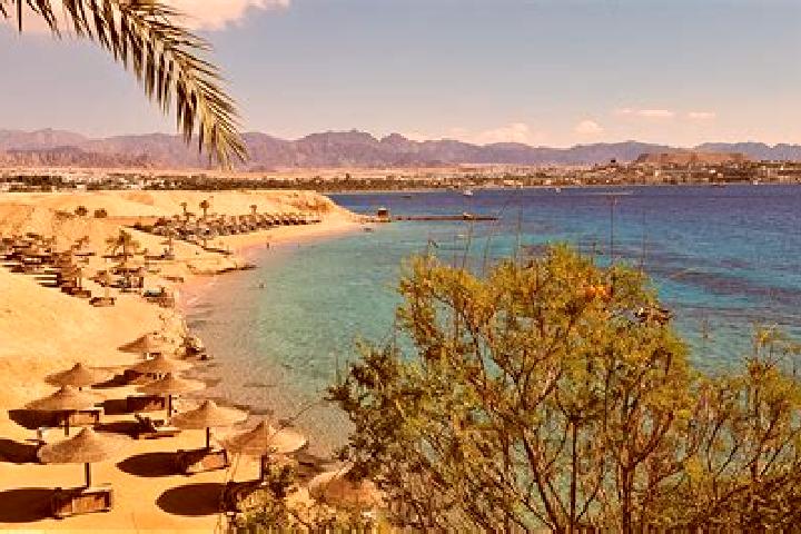 Nora, 31, a blonde hazel-eyed caribbean companion based in Sharm el-Sheikh. Offering Travel Companion, Fetish. Available for incall and outcall, day and even...