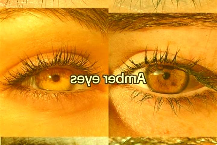 Nora, 31, a chestnut amber-eyed slavic companion based in Nurmahal. Offering BDSM, Erotic Massage, Girlfriend Experience, 69, OWO. Available for incall and o...