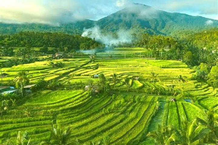Nora, 31 — Escort in Banjar Ababi, Indonesia