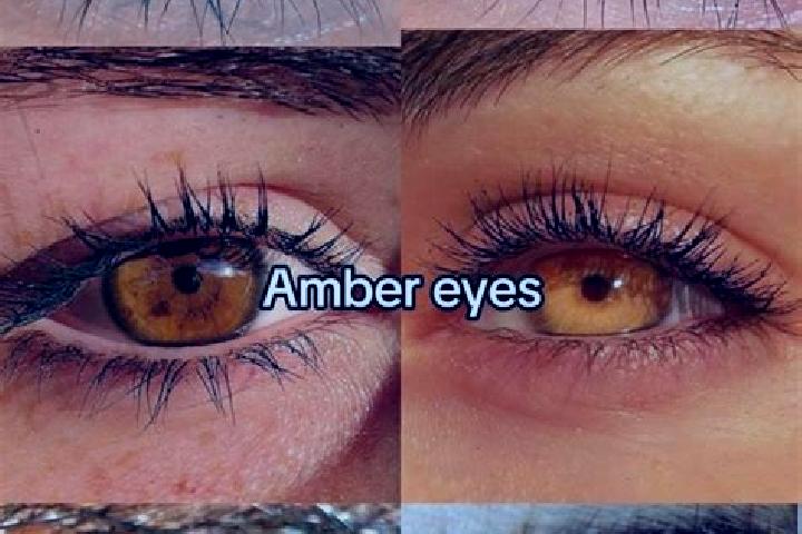Nora, 32, a chestnut amber-eyed middle eastern companion based in Asini. Offering Prostate Massage, Girlfriend Experience, OWO. Available for incall and outc...