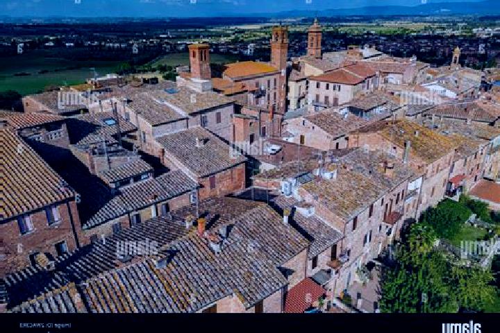 Nora, 32 — Escort in Torrita di Siena, Italy