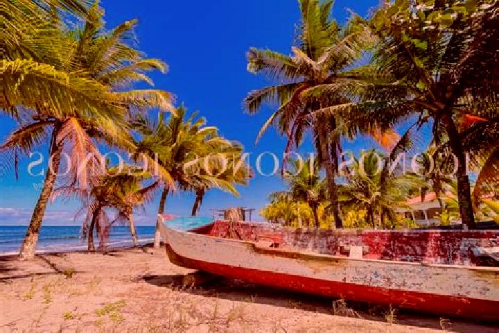 Nora, 32 — Escort in Travesia, Honduras