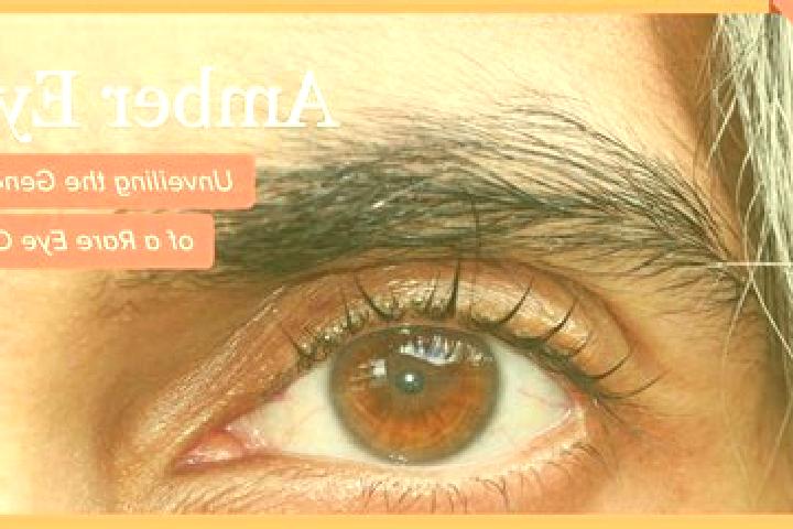 Nora, 35, a black amber-eyed indian companion based in Putevka. Offering Erotic Massage, Fetish, Massage, OWO, Roleplay. Available for incall and outcall, da...