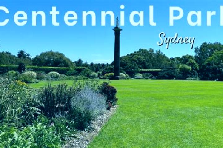 Nora, 35 — Escort in Centennial Park, Australia