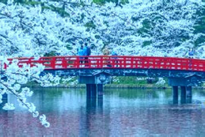 Nora, 35 — Escort in Hiranai, Japan