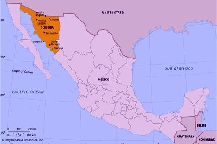 Nora, 36 — Escort in Colonia Sonora, Mexico