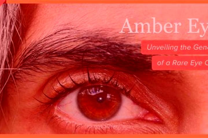 Nora, 37, a red amber-eyed mixed companion based in Lavaltrie. Offering Erotic Massage, Fetish, CIM. Available for incall and outcall, overnight bookings ava...