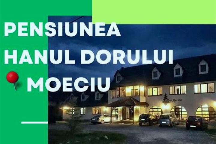 Nora, 37 — Escort in Moeciu de Jos, Romania