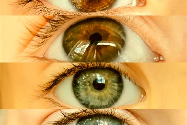 Nora, 38, a chestnut blue-eyed middle eastern companion based in Histon. Offering Girlfriend Experience, GFE, Tantra, Party Girl. Available for incall and ou...