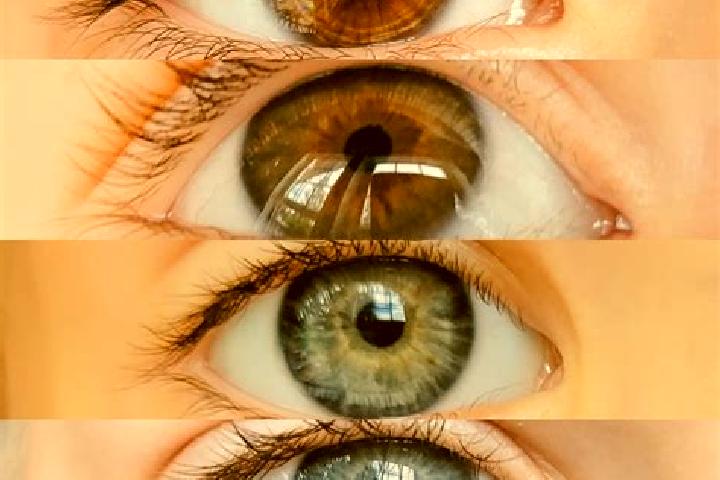Nora, 38, a chestnut dark-eyed mixed companion based in Campor. Offering Domination, Travel Companion, 69, Massage. Available for incall and outcall, overnig...