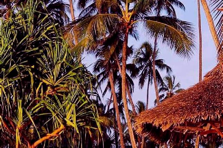 Nora, 38 — Escort in Nyalikungu, Tanzania