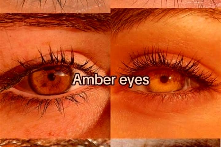 Nora, 39, a chestnut amber-eyed european companion based in Walscheid. Offering Overnight, Travel Companion, Massage, OWO. Available for incall and outcall, ...