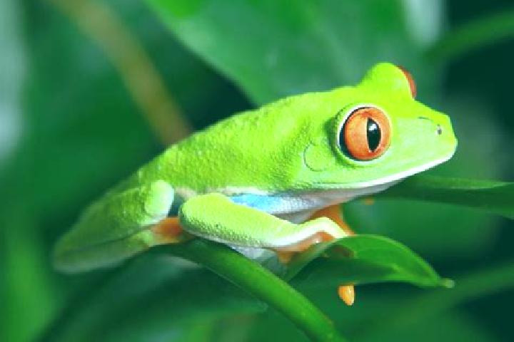 Nova, 20, a red green-eyed european companion based in Drakes Branch. Offering OWO, Travel Companion, Domination, A-Level. Available for incall and outcall, ...