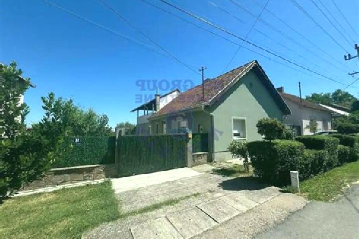 Nova, 20 — Escort in Ledinci, Serbia