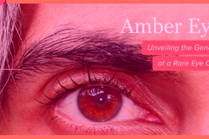 Nova, 21, a red amber-eyed mixed companion based in Avdotyine. Offering Prostate Massage, Massage. Available for incall and outcall, overnight bookings avail...