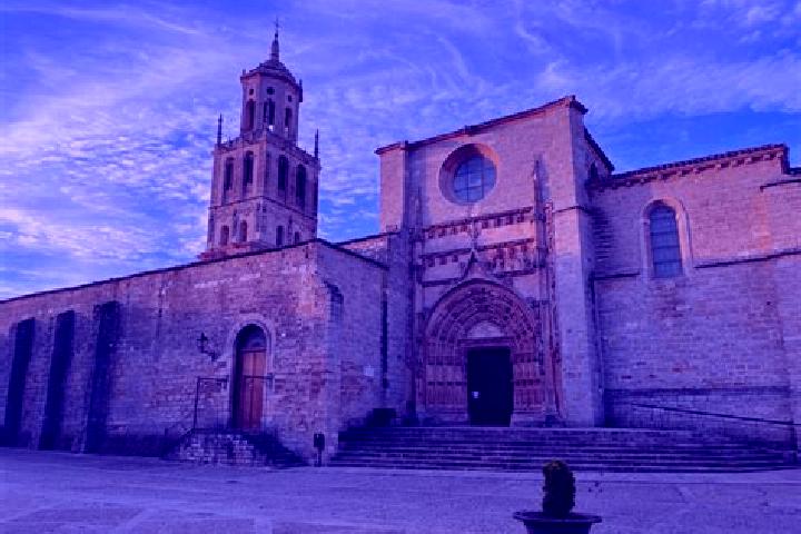 Nova, 21 — Escort in Santa Maria del Campo, Spain