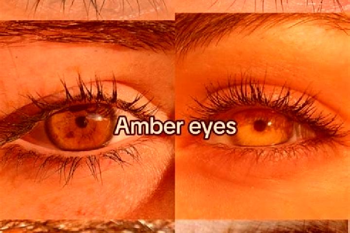Nova, 22, a chestnut amber-eyed mediterranean companion based in Bileca. Offering Tantra, Roleplay, Domination. Available for incall and outcall, day and eve...