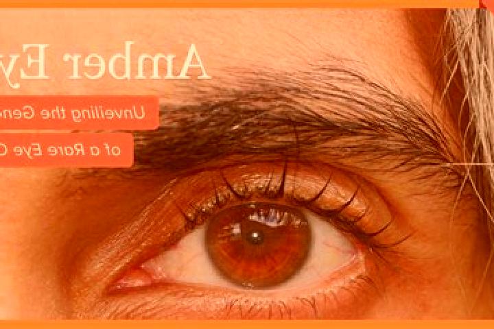 Nova, 22, a red amber-eyed european companion based in Kuringen. Offering Prostate Massage, Couples, A-Level, GFE. Available for incall and outcall, overnigh...